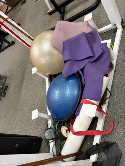 Lot of exercise ball, balance ball, resistance bands, ab wheel, yoga mats, floor mats & jump ropes