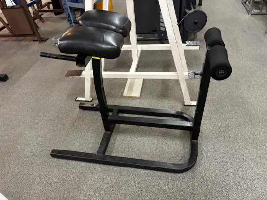 Back Extension Bench