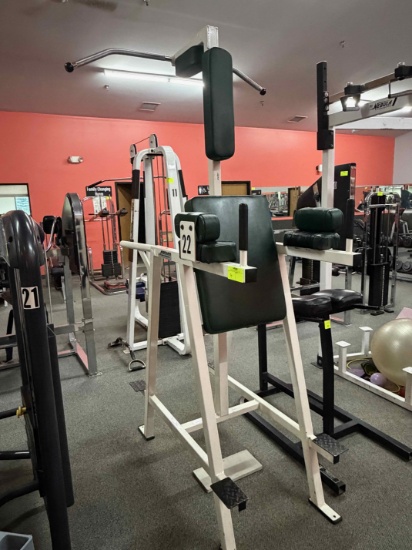 Magnum Leg Lift & Pullup Stand