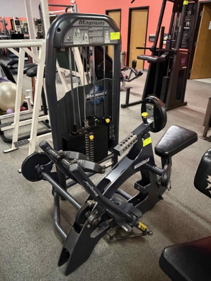 Magnum Seated Row Machine