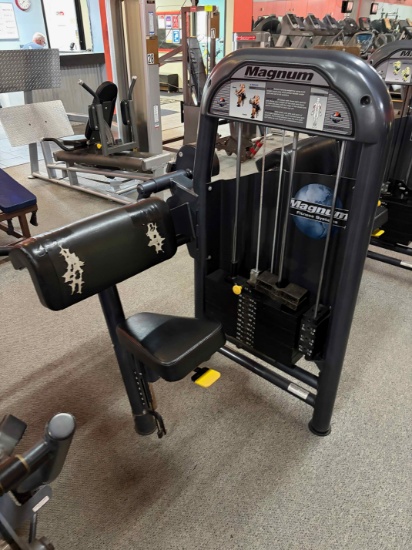 Magnum E Series Preacher Curl Machine