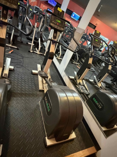 Precor EFX 544 Elliptical Crosstrainer