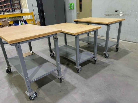 Workbench on Wheels, size: 30"x48" adjustable Height