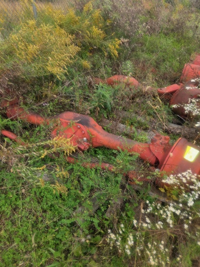 Red Axels