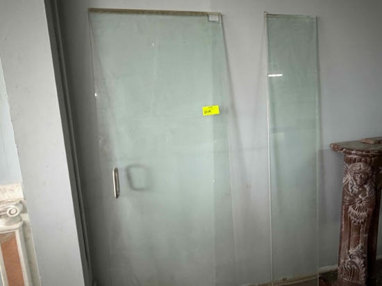 glass shower door and insert