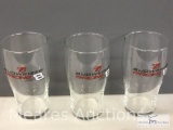 3- Dale Earnhardt Jr. Budweiser Drinking Glasses