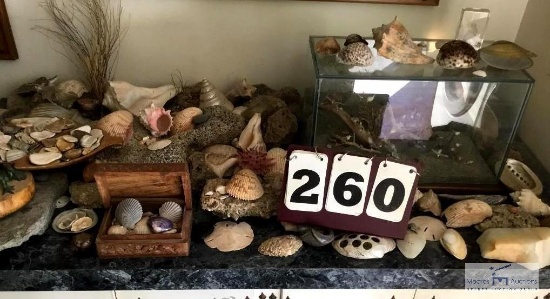 ROCK COLLECTION AND SEA SHELL COLLECTION