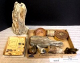 ASSORTED PETRIFIED ITEMS - ONE LOT