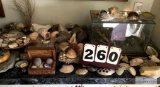 ROCK COLLECTION AND SEA SHELL COLLECTION