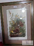 Meadowlark picture - Audubon