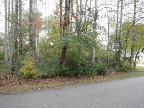 Two adjoining lots - Easley, SC
