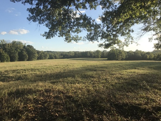 44 +/- Acres of open land in Gray Court, SC