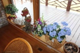 1 Lot of Flower Arrangements and Sand Dollars.