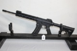 Smith & Wesson M&P 15-22 .22LR AR Rifle w/25 Rd. Magazine.