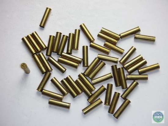 50 Rounds 460 Primed brass