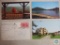 Approx. 20 Postcards mostly Mid Century America