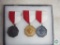 Lot of 3 Vintage Boy Scout Ribbon Pins