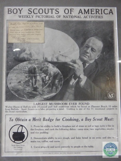 1925 Framed Newspaper Boy Scouts of America Article 23" x 19"