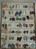 Vintage Geology Gemstone Rock Samples Chart
