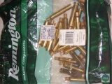 New Remington brass, 300 WBY mag