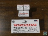 650 Rounds Ammo Total Winchester Wildcat 22 LR Long Rifle 40 Grain