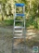 6' Werner Ladder A-Frame 250 lbs. Capacity