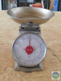 Taylor 11 lbs. Capacity Scale