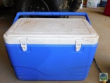 Coleman Cooler - holds approx 12-pack