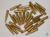 30 Rounds 7.62 x 51/.308 Tracer Ammo