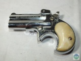 Davis Industries, .22 long 2 shot pistol, Model D-22