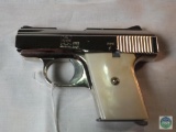 Raven Arms MP-25 .25