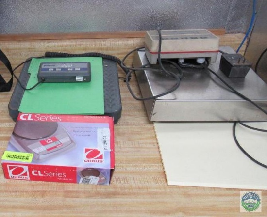 Lot of 3 Desktop Digital Scales