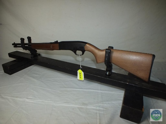 Winchester 190, .22 rifle