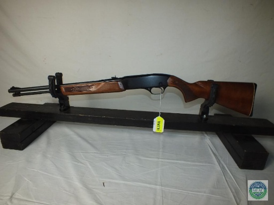 Winchester 270, .22 rifle