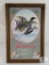 Winchester Advertising 3D Mallard Duck Hunting Framed Picture