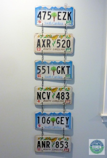 6 South Carolina License Plate Display