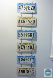6 South Carolina License Plate Display
