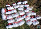Lot of 30 New PVC Ball Valves 2