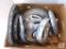 Lot of Assorted Hubcaps Ford