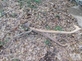 Antique Manual Wood Handle Plow