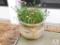 Large Pottery Planter Tan with
