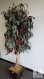 Decorative fichus tree
