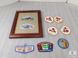 Lot of BSA Patches Framed Last Robert E. Lee CSP First Heart of Virginia, Character, Garfield +