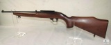 Ruger Model 10/22 Carbine .22 LR Semi-Auto Rifle