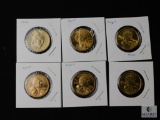 Group of (6) golden dollars