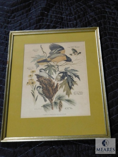 Arthur Singer No.8 Birds and Foliage Prints Matted & Framed 12.5" x 16"