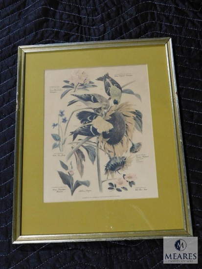 Arthur Singer No.6 Birds and Foliage Prints Matted & Framed 12.5" x 16"