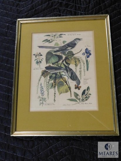 Arthur Singer No.4 Birds and Foliage Prints Matted & Framed 12.5" x 16"