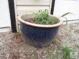 Lot 5 Large Flower Pot Planters 2 Concrete 3 Glazed Pottery