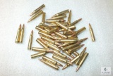 Lot 50 Rounds 5.56 Ammo Mixed lot Ammunition